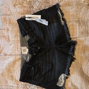 Urban Outfitters BDG shorts 31